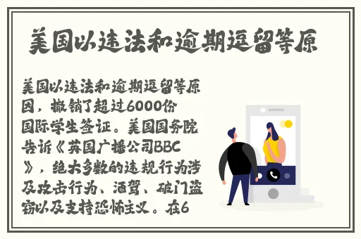 新任女教师